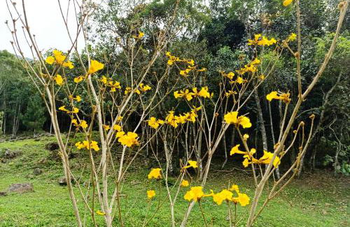 Refúgio Atlântico - Foto 34