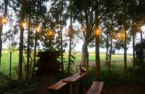 Magic Wood Studio Apartament Koniewo - Foto 9