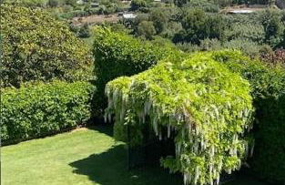 Luxury Home in Colares - Photo 12