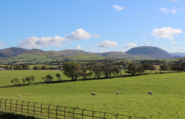 Miner's Cottage - Foto 20