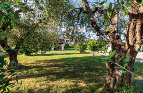 Nonna Bianca, a Genuine Farmhouse in Sant'Alessio, Lucca - Photo 57