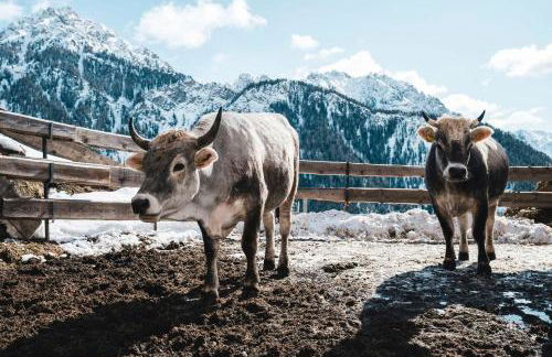 Sartu Apartments - Foto 60