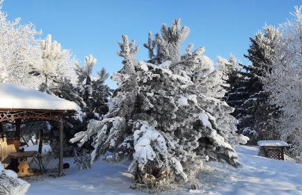 Orzechowy Dworek - Foto 11