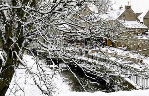 Buchanan Park - Photo 26