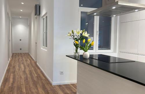 Apartment on La Concha Beach - Villa Iru - Foto 21