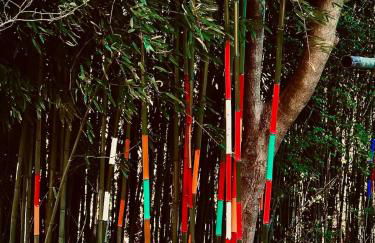 Shenandoah Holiday Chalet Fireplaces & Game Barn - Foto 6