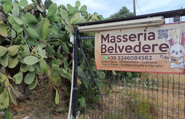 Masseria Belvedere - Photo 32