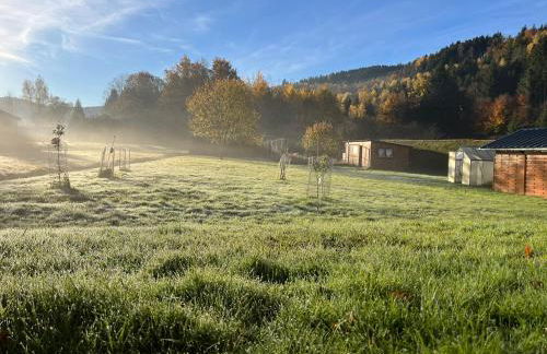 Nouveau, gîte RDVosges 5 chambres, jardin, calme, proche GERARDMER - Foto 47