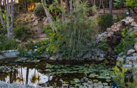 Apartamento en Benalmádena - Coloso - Foto 49