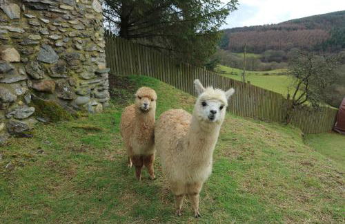 Stunning Barn Conversion with HOT TUB and ALPACAS - Ty Cerrig Barn - Photo 54