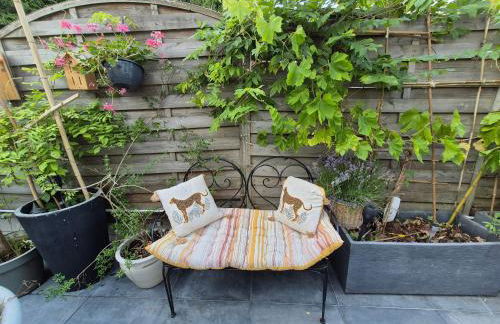 La Lilloise Villeneuve D'Ascq GD STADE Mauroy - Foto 21