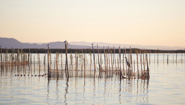 Uptown Apartments - Foto 3