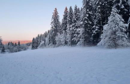 Appartement T3 60m2 calme - Foto 1