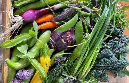 Little Linney - Sleeps 2 - Garden - Wifi - Parking - Photo 64