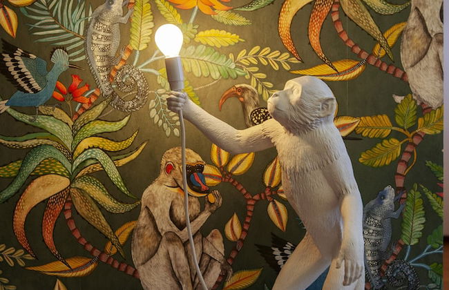 Ca' della Scimmia - Foto 12