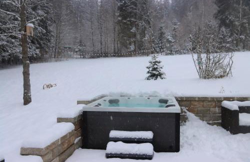 Apartment am Nationalpark Bayerwald - Foto 39