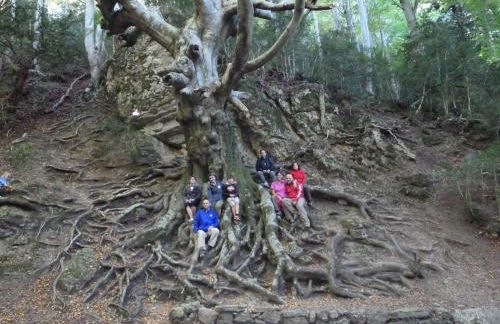 Apartament Dertosa - Foto 50