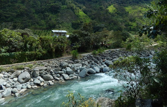 Dogs and Fish Dream Land - Foto 30