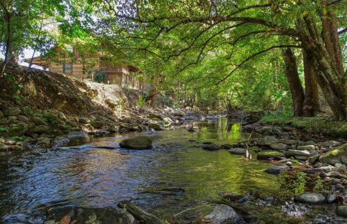Creek Heaven - 2 Bedrooms, 2 Baths, Sleeps 6 Cabin by RedAwning - Foto 15