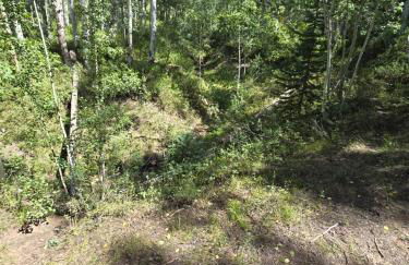 Camp Jackson Host Cabin - Foto 14