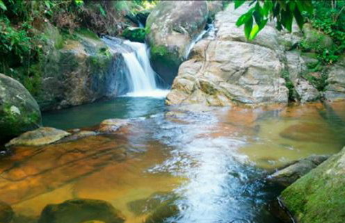 Casa da Floresta - Foto 17