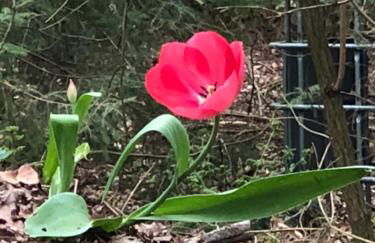 Ferien im Bomlitztal - Foto 36