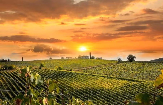 Atardecer en el Chianti con cena y cata de vinos - Foto 2