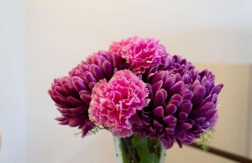 Ciudad Jardín Las Palmas GC - Foto 5