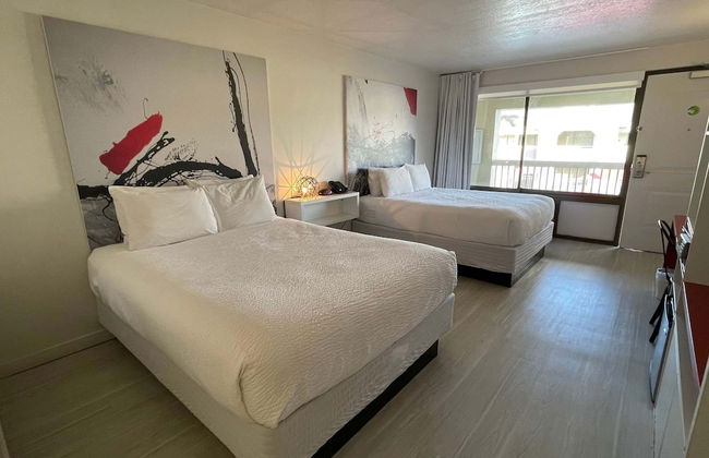 Cozy Hotel With Super Location Near Disney - Foto 34