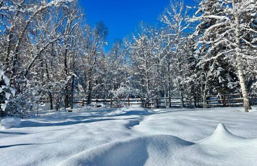 Large Family Cabin Near Park City - Foto 19