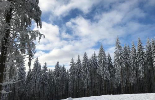 Ferienhaus Küstelnest - Foto 37