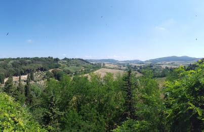 Lucas House - Foto 21