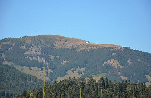 Apartment in Kleines Wiesental - Foto 79