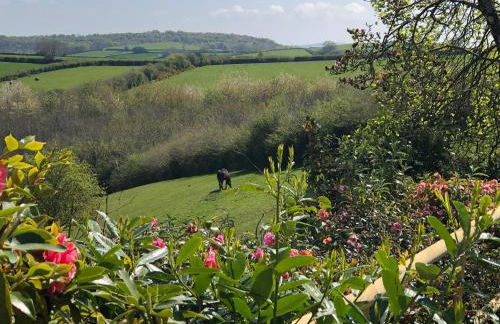 Wottonsbury - Foto 25