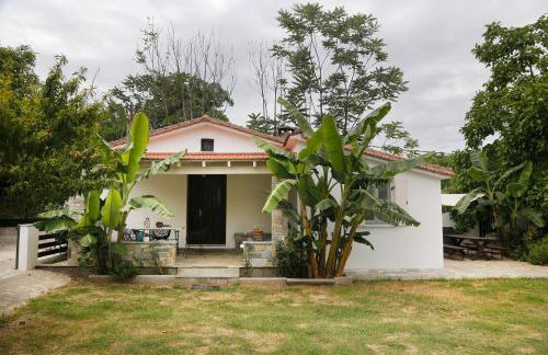 ELAION GAIA - Foto 9