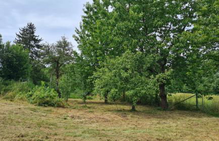 Blockhaus an der Dahme , Ferienhaus - Foto 42