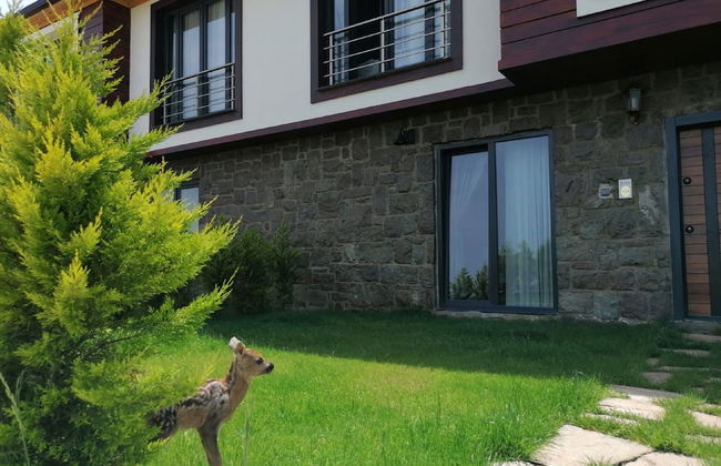 Royal Villa - Foto 48