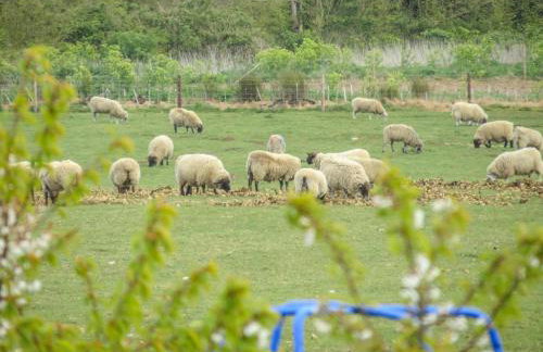 3 Hazlewood - Foto 11