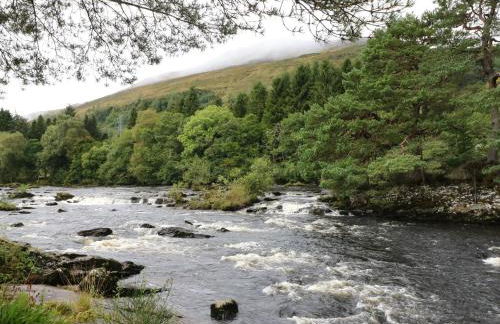 Millmore Cabin - Photo 16