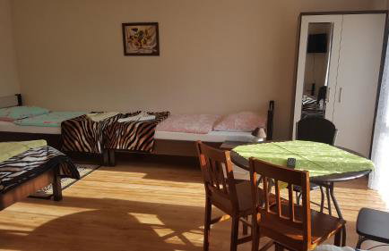 Agroturystyka Struzka - Foto 5