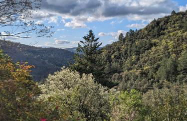 Mas du ciel en Cévennes - Photo 15