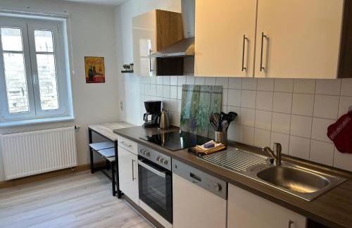 Sandstein-Ferien, FeWo "Biela", gemütlich, zentral, Terrasse, familienfreundlich - Foto 7