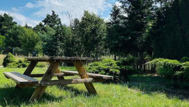 Strzyzewo Witkowskie Luxury Apartment - Foto 3