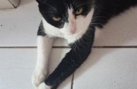 Flat Forte Orange - Ilha de Itamaracá - Foto 58