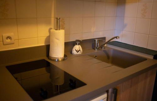 CHARMANT STUDIO☆NETFLIX☆CANAL+☆CANAL SAT☆PARKING☆ - Foto 11