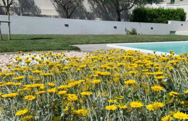 Tony's house in garden - Photo 27