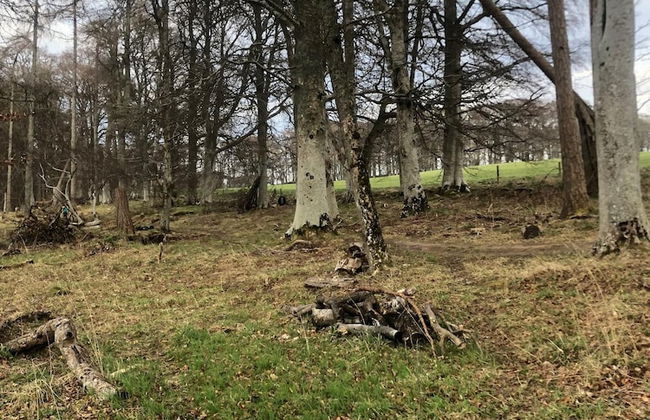 Appin Apartment - Photo 34