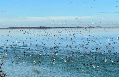 Le chalet de la Presquile - Foto 10