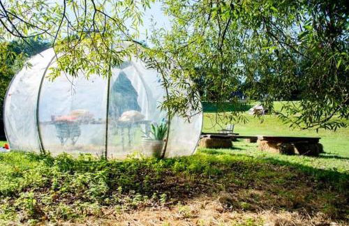 Hertford farm Woodland cabin pet friendly firepit bbq - Foto 55