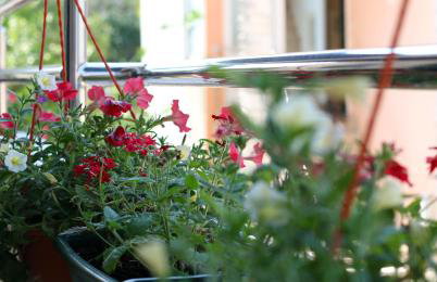 Apartments Jadranka - Foto 40